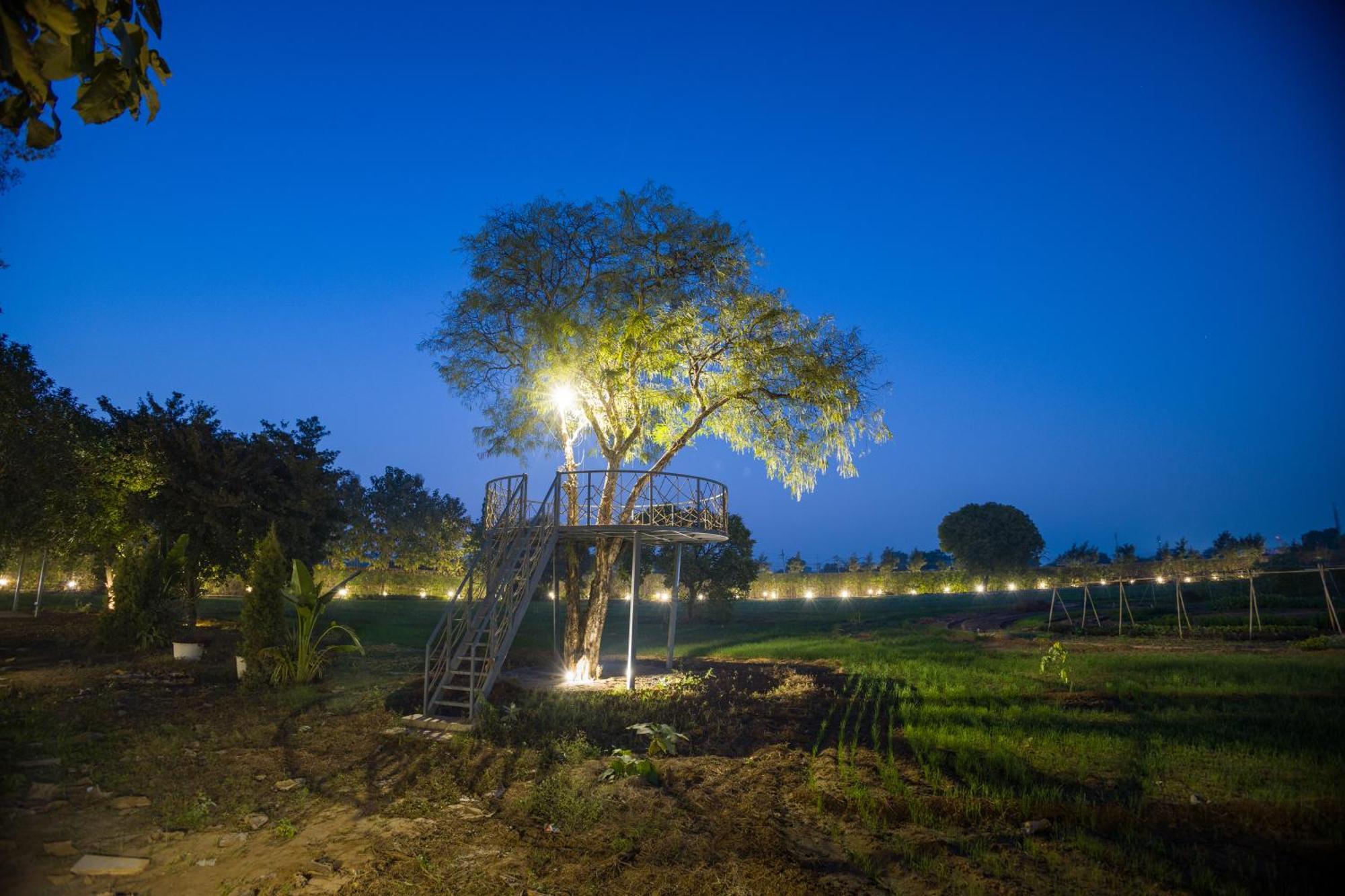 Elivaas Hidden Oasis 4Bhk With Pool, Mud House & Container House Villa Dhauj Ngoại thất bức ảnh