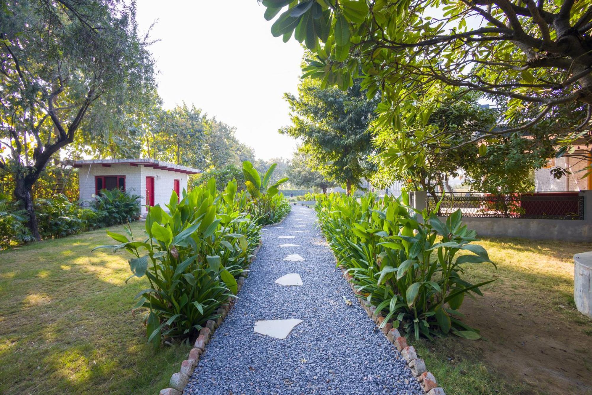 Elivaas Hidden Oasis 4Bhk With Pool, Mud House & Container House Villa Dhauj Ngoại thất bức ảnh