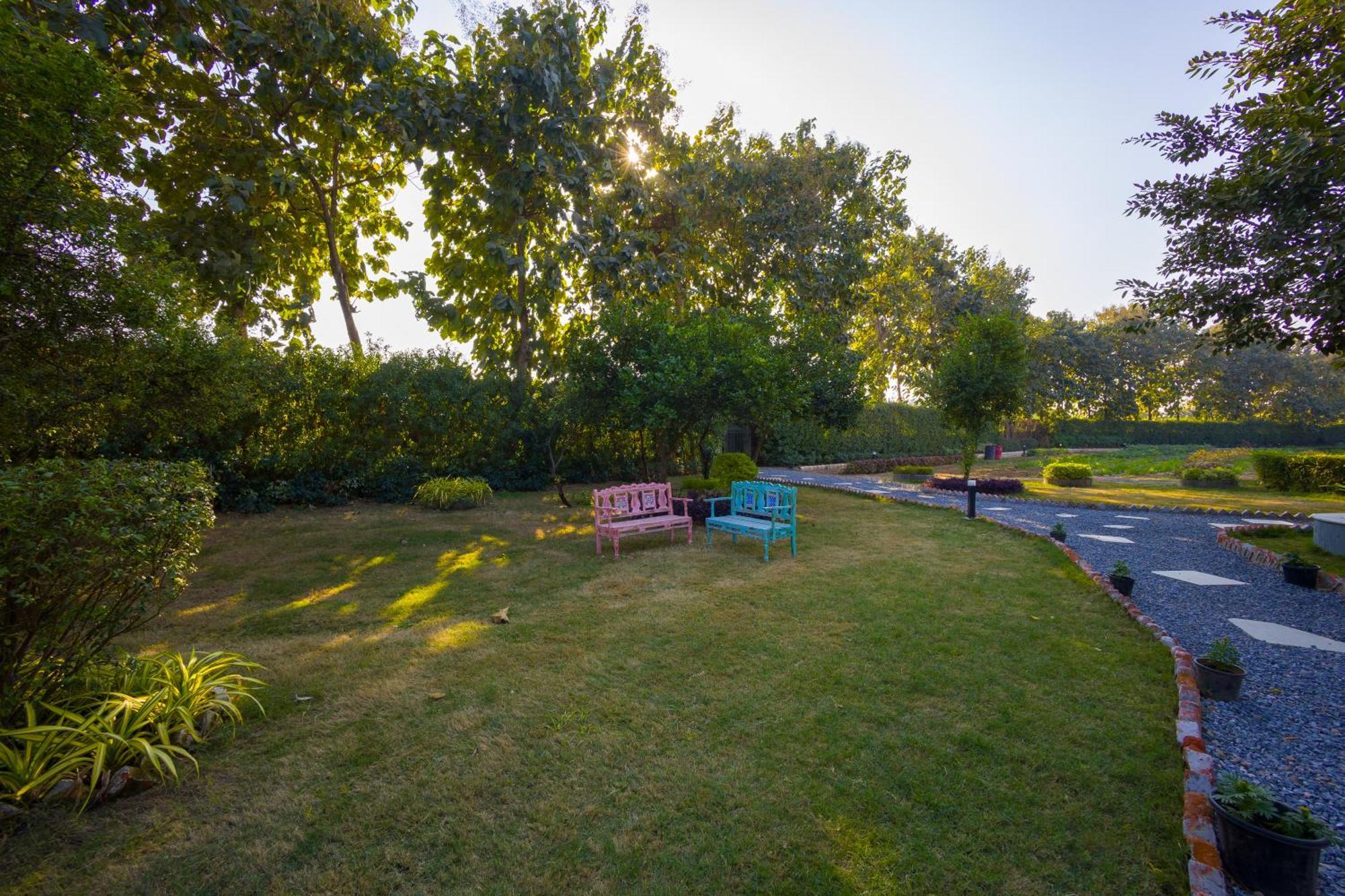 Elivaas Hidden Oasis 4Bhk With Pool, Mud House & Container House Villa Dhauj Ngoại thất bức ảnh